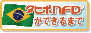 タヒボNFDができるまで