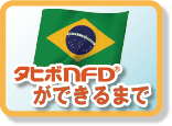 タヒボNFDができるまで