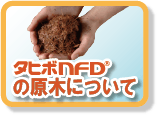 タヒボNFDの原木について