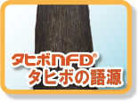 タヒボNFDタヒボの語源