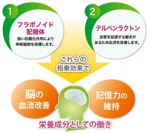 栄養成分としての働きのイメージ図