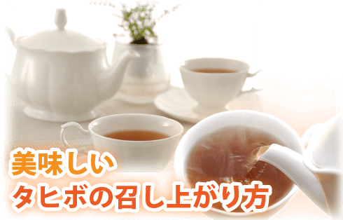 タヒボ茶の飲み方sp