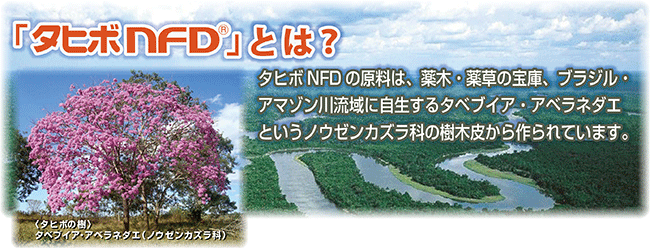 「タヒボNFD」とは