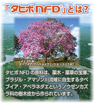 「タヒボNFD」とは
