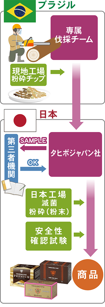 ブラジルから日本へ