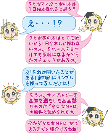 タヒボ茶で喜びの声一杯 お客様満足度95 のタヒボ通販