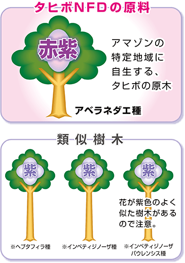 タヒボ茶で喜びの声一杯 お客様満足度95 のタヒボ通販