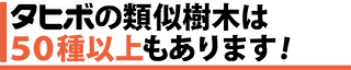 タヒボの類似樹木は５０種類以上もあります！