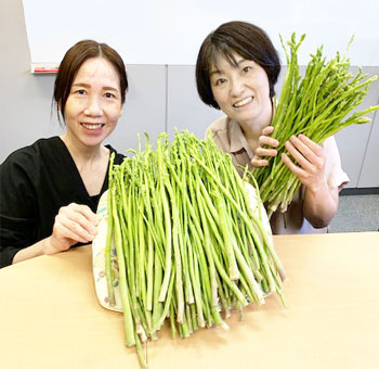 アロハースタッフ