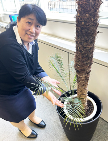アロハースタッフ