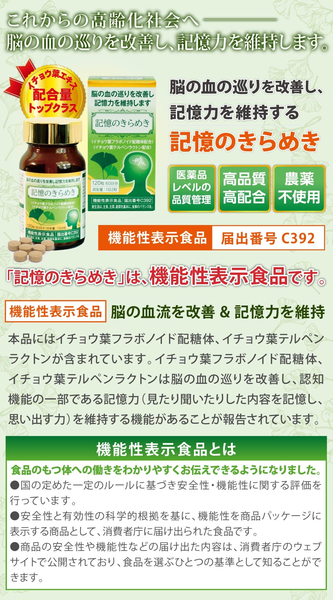 記憶のきらめき(1) 記憶のきらめき(1)