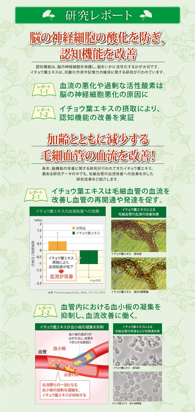 記憶のきらめき(2) 記憶のきらめき(2)