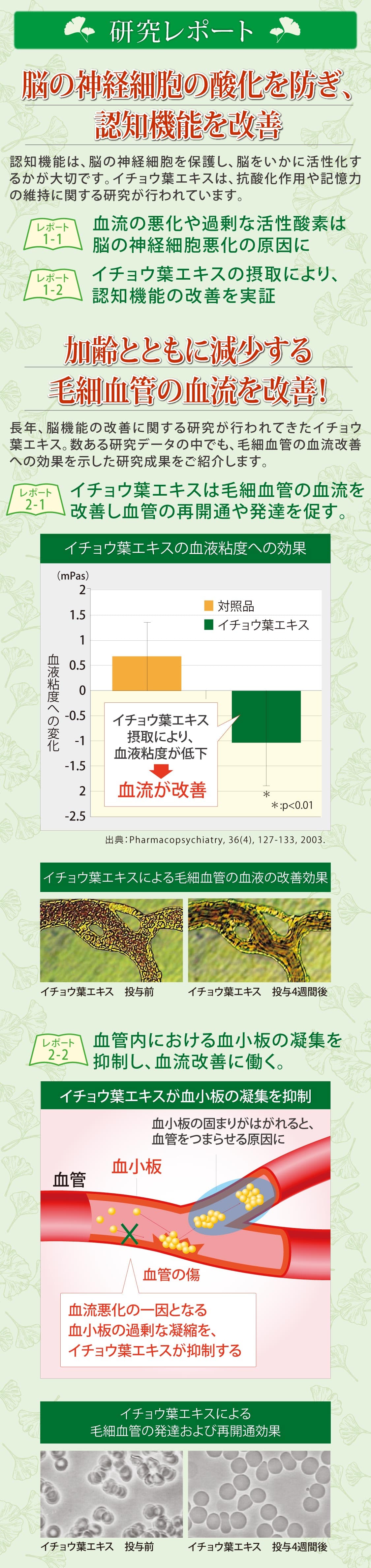 記憶のきらめき(2) 記憶のきらめき(2)