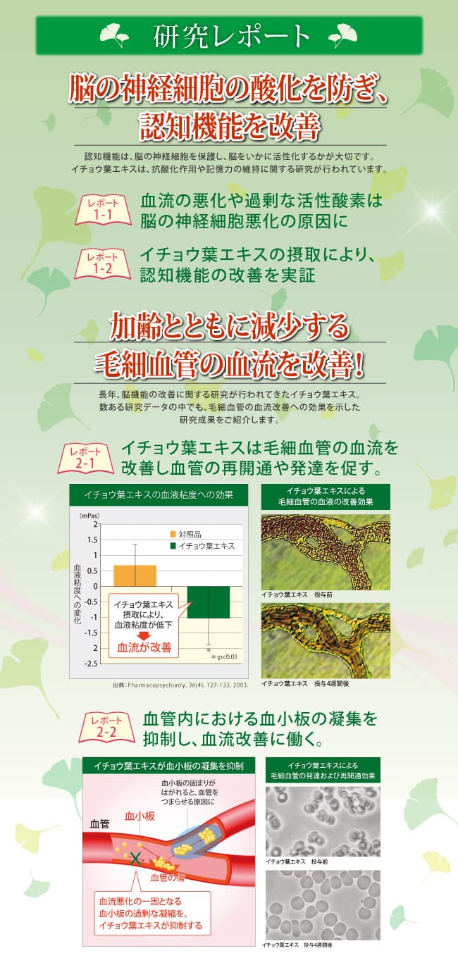 記憶のきらめき(2) 記憶のきらめき(2)