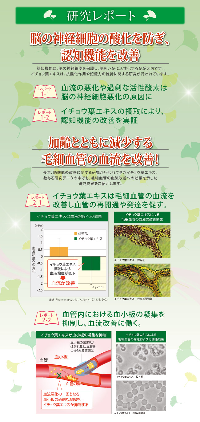 記憶のきらめき(2) 記憶のきらめき(2)