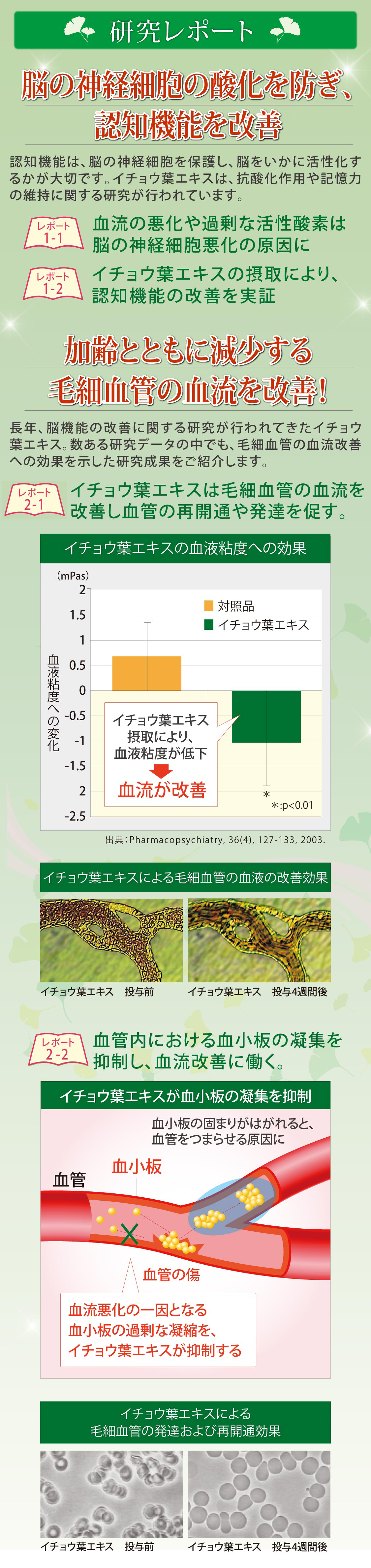 記憶のきらめき(2) 記憶のきらめき(2)