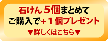 5個ご購入で1個プレゼント